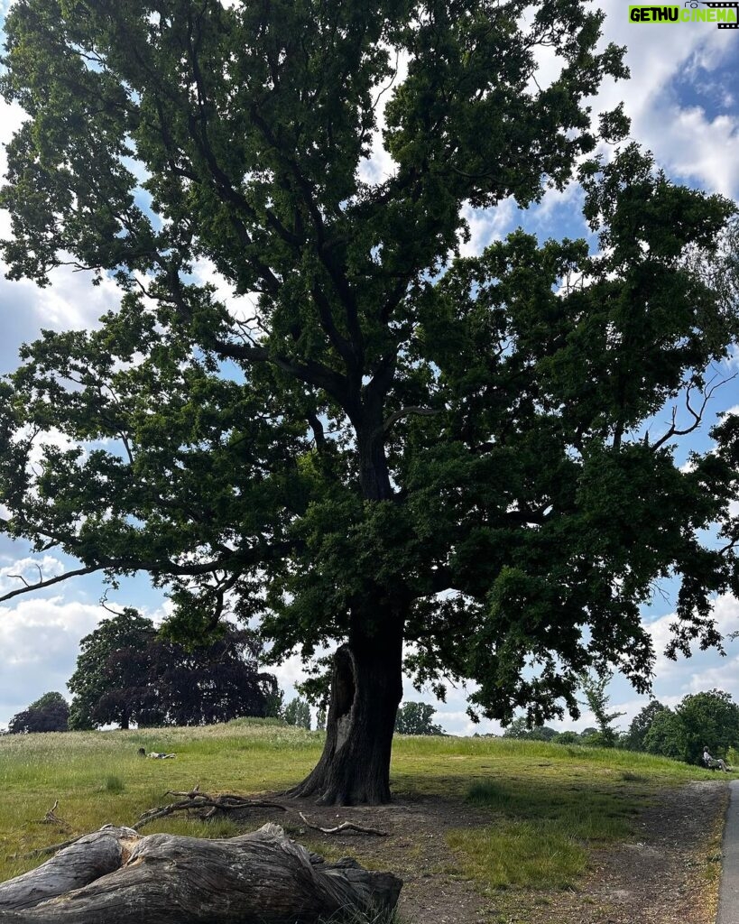 Patricia Heaton Instagram - Summer in Hampstead