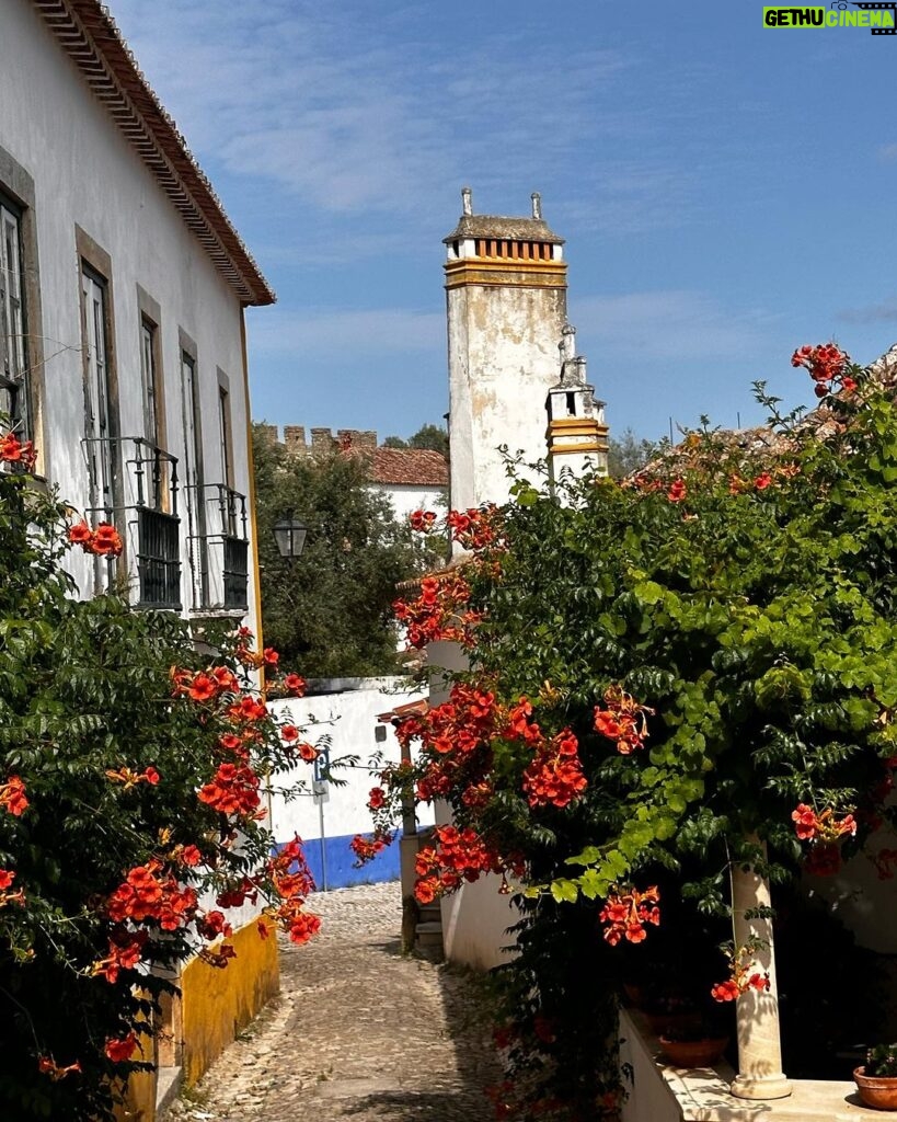 Patricia Heaton Instagram - On the way back to Lisbon from Nazaré we stopped in Óbidos, one of the most beautifully preserved villages I’ve ever visited. Beautiful cobbled streets lined with historic buildings drenched in flowers. Obidos Portugal