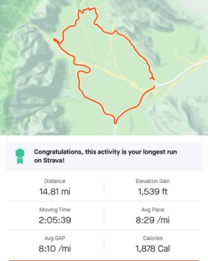 Paul Felder Instagram - I have been wanting to do this run for weeks. The red rock scenic loop! Just under 15 miles with LOTS Of climbing. Thank you @jriele @muddytriathlete for suffering with me. Oh! And I get to call some awesome fights this sat! Early card for us here in Vegas! Next week I’m taking on the Pocono tri fest(brutal course) I’m ready to suffer! #mma #triathlon #samplekit #redrocks #ufc #ironlung 
📸 @jriele