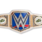 Paul Michael Lévesque Instagram – Another year, another @WNBA Championship, and a SECOND @WWE Title heading to the @seattlestorm. Congratulations to the team on a dominating performance in the finals. make some room for this! #WeRepSe4ttle #StrongerThanEver