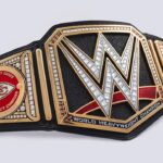 Paul Michael Lévesque Instagram - For the first time in 50 years, the Kansas City @chiefs can say they are #SuperBowl Champions again! Congratulations to Coach Andy Reid, MVP @patrickmahomes, @killatrav, @mathieu_era, and the entire organization. Bring this title back to the #ChiefsKingdom to celebrate!
