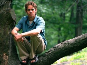 Paul Walker Instagram - “Look deep into nature, and then you will understand everything better.” - Albert Einstein ⁣
⁣
#TeamPW