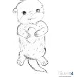 Paul Walker Instagram - Adding color to your Quarantine 🌈⁣⁣ ⁣⁣ Meadow sketched a few of her favorite ocean friends for you to download, print and color them up. We will be releasing a new friend every week through May 15th on paulwalkerfoundation.com ⁣⁣ ⁣ What do Otters and humans have in common? They both have couches. Fun fact, an otters den is called a couch (or a holt). Meet “Ollie the Otter” the first one in the series. Please feel free to rename him, sign your name and tag @paulwalkerfdn so we can share it. ⁣⁣ ⁣⁣ Winners will receive Paul Walker Foundation merch. ⁣⁣ Connecting kids in the community with color. Do Good. Be Good. 💙💙💙