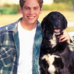 Paul Walker Instagram - #TBT 🐶 #TeamPW