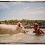 Paul Walker Instagram - “Wherever there are wild animals in the world, there is always an opportunity for caring, compassion and kindness.” - Paul Oxton #NationalWildlifeDay⁣ ⁣ 📷: @MeadowWalker ⁣ #TeamPW