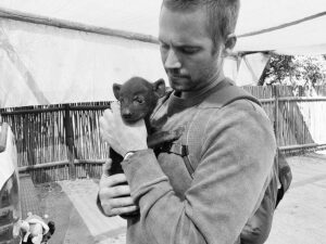 Paul Walker Instagram - “Be kind whenever possible. It is always possible.” - Dalai Lama

#TeamPW