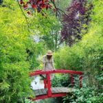 Pauline Clément Instagram - 🌿Août à la campagne 👒