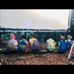 Pauline Clément Instagram - Des taches de rousseur, une bd, la prof de sport qui a la flemme, du chocolat dans une cachette et des boucles d’oreille en forme de carotte ! 👩‍🌾