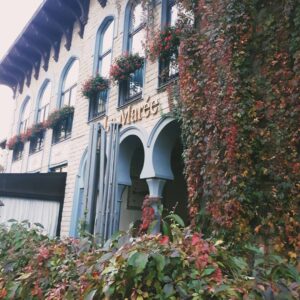 Pechkurov Aleksej Instagram - 