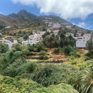 Pedro Guerra Instagram - El 4 de Abril de 1494, fue vendida en el mercado de esclavos de Valencia la niña guanche Cathaysa con tan solo 7 años de edad. Era natural de Taganana en Tenerife.

Mi padre (Pedro Guerra Cabrera) escribió una letra contando la historia de Cathaysa. A los 14 años puse música a esa letra y de esa forma compuse mi primera canción.

Hoy me han dado esa cinta de súper 8 en la que fue mi primera vez en  ese hermoso lugar.

Esta noche vuelvo a cantar en Taganana, la tierra de Cathaysa.