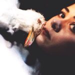 Pelin Abay Instagram - Ahsjaksoajjhj ciddi bir martı. Vay be Pelin! Yirmi ikinde kalbinin güm güm atışını dinlediğin kocaman sahne, hiç unutmayacaksın. Hatalar yaptığım, hatalarıma kafayı taktığım, yıldızlara kafayı taktığım, zamana kafayı taktığım, inanılmaz şeyler öğrendiğim, nerdeyse her şey değişirken bütün gücümle değişmeyen küçük şeyler aradığım, günleri, haftaları tutmaya çalıştığım, zamanı zorladığım, zorladığım her şey gibi elimde kaldığı, zamanın elimde kaldığı günler. Dönüp baktığımda değiştiğini gördüğüm şeyler bu dünyadan aldığım nefesi yarı yarıya azaltıyor ama yine de, söylediğim gibi, şarkıların arasında alınan belli belirsiz nefes sesini ve balkonda yemek yemeyi çok seviyorum. ‘Hem zaten ay nereye gitsem beni takip ediyor, öyle değil mi?’