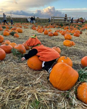 Perrie Instagram - Pumpkin patch with our icle Pumpkin 🎃🥹