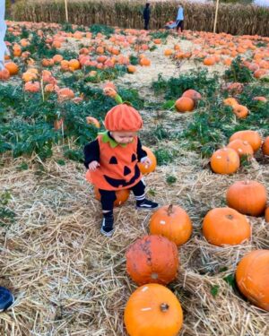 Perrie Instagram - Pumpkin patch with our icle Pumpkin 🎃🥹