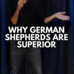 Pete Correale Instagram - What is the best dog to have as a pet? I gotta say it’s a German Shepherd! 🐕 UPCOMING TOUR DATES: JAN 19 - PORTLAND, OR (@hawthornetheatrepdx) JAN 20 - LOS ANGELES, CA (@regenttheaterla) FEB 2 - DALLAS, TX (@theechodallas) FEB 3 - PHOENIX, AZ (@thevanburenphx) FEB 9 - ST. LOUIS, MO (@citywinerystl) FEB 10 - OMAHA, NE (@theslowdown) #PeteCorreale #StandUp #Comedy #Dog #GermanShepherd
