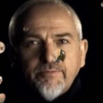 Peter Gabriel Instagram – “I think there’s this sense very often that people seem to retain their 17 year old selves throughout life in some way, they may peg it at a different age but I don’t think people feel old internally or very rarely.” -pg