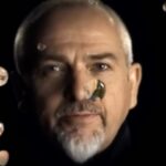 Peter Gabriel Instagram - “I think there’s this sense very often that people seem to retain their 17 year old selves throughout life in some way, they may peg it at a different age but I don’t think people feel old internally or very rarely.” -pg
