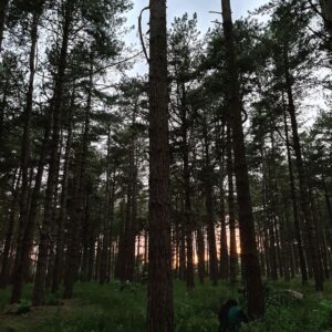 PewDiePie Instagram - Summer finally came and we went camping around UK again. This time with friends! 🏕️🌞