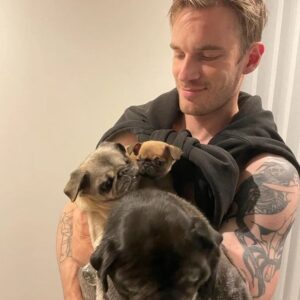 PewDiePie Instagram - Wanted to properly introduce our new fam member Momo! 🍑 She's half pug 🥟half chihuahua 🌯 (Chug). We've had her since November, so glad she got to meet Maya while she was still with us 💕
