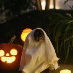 PewDiePie Instagram - 🎃 Happy Halloween 🎃 from the Kjellbergs