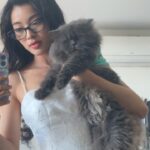 Phạm Nguyễn Lan Thy Instagram - Gia đình nhỏ có cô công chúa và bầy mèo