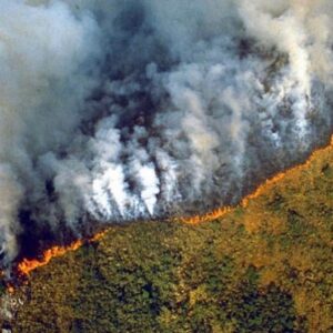 Philipp Christopher Instagram - #Repost @jackharries
・・・
The lungs of the planet are on fire right now!! 🔥 🚨 The Amazon rainforest has been burning for weeks but has received almost no news coverage. When Notre-Dame burnt, billionaires and politicians emptied their pockets but when the most important ecosystem on earth is on fire we turn a blind eye. The world’s greatest cathedral is burning and there’s no rebuilding this one!!! 😢 Please help spread awareness. #prayforamazonia First 📷 by @mohsinkazmitakespictures