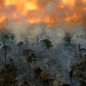Philipp Christopher Instagram - #Repost @jackharries
・・・
The lungs of the planet are on fire right now!! 🔥 🚨 The Amazon rainforest has been burning for weeks but has received almost no news coverage. When Notre-Dame burnt, billionaires and politicians emptied their pockets but when the most important ecosystem on earth is on fire we turn a blind eye. The world’s greatest cathedral is burning and there’s no rebuilding this one!!! 😢 Please help spread awareness. #prayforamazonia First 📷 by @mohsinkazmitakespictures