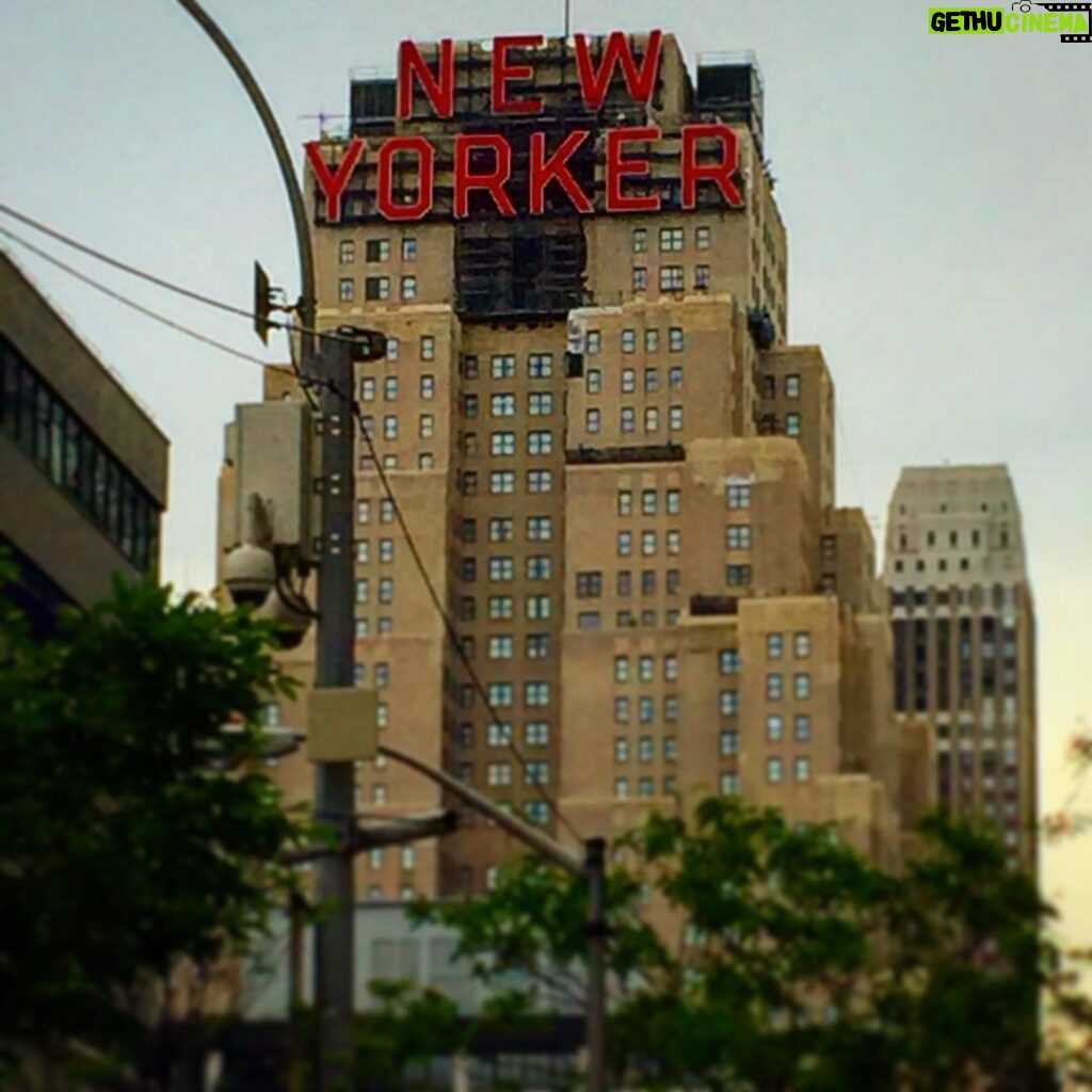 Phoenix Raei Instagram - Concrete jungle where dreams are made of #newyork @kateelizabethlister