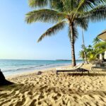 Pinar Toprak Instagram - Thinking back on how fortunate I was to be on set during the filming of @lostcitymovie. For those of you who have seen the film, can you guess which scene was shot on this beach? Dominican Republic