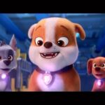 Pinar Toprak Instagram - Mighty powers ACTIVATED! 💎🔥 Watch the pups get their powers in this new clip from PAW Patrol: The Mighty Movie - only in theatres September 29. A little score sneak peek also 😉 #PAWPatrolMovie