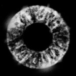 Platon Instagram - The game continues… Tomorrow at 7:30pm I will be doing a Clubhouse talk with my friends at Culture Club. Link in bio to join. To all my followers, whose eye is this? Is this someone you love or someone you hate? I’ll be on the lookout for your guesses in the comments. Play on!