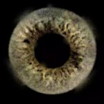 Platon Instagram - Friends, I’m getting very excited about dropping my new series of NFTs this Sunday. The art is now live on @lgnd.art so go check it out. Link in bio. To all my followers, whose eye is this? Is this someone you love or someone you hate? I’ll be on the lookout for your guesses in the comments. Let the game begin!