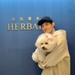 Potter King Instagram - 代言起來🤩 台灣品牌小先草本發酵液 @aheadgogo #幫助消化 #幫助排便順暢 #幫助新陳代謝 本月限時85折折扣碼：KING85
