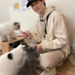 Potter King Instagram - 好多可愛的貓咪🤩 吸貓時間🥰好療癒 @hhhuangyiii 👈很想跟貓合照的人