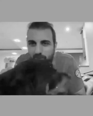 Poulad Kimiayi Instagram - پسرم رفیقم بخشی از قلبم بعد از ۱۱ سال زندگی و هم نفسی تو دستام پر کشید .آزاد شد و رفت جایی که حرام نباشه ..همسایه ها نخوان بیرونش کنن .مردم ازش نترسن .پلیس دستگیرش نکنه و شهرداری بخواد هم گونشو بکشه ...باورم نمیشه که چه قدر عشق ازش یاد گرفتم چقدر معرفت چقدر ها...... خیلی تلخه ولی ارزش عشقشو داشت .برو پسرم آروم بخواب