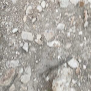 Preston Garcia Instagram - When you’re hiking and your friend almost steps on a Snake ✨☺️🐍
