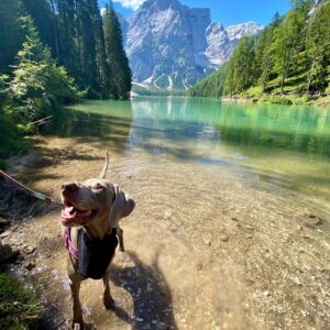 Primo Reggiani Instagram - ❤️ #lagodibraies #trentino #nofilter #mountains