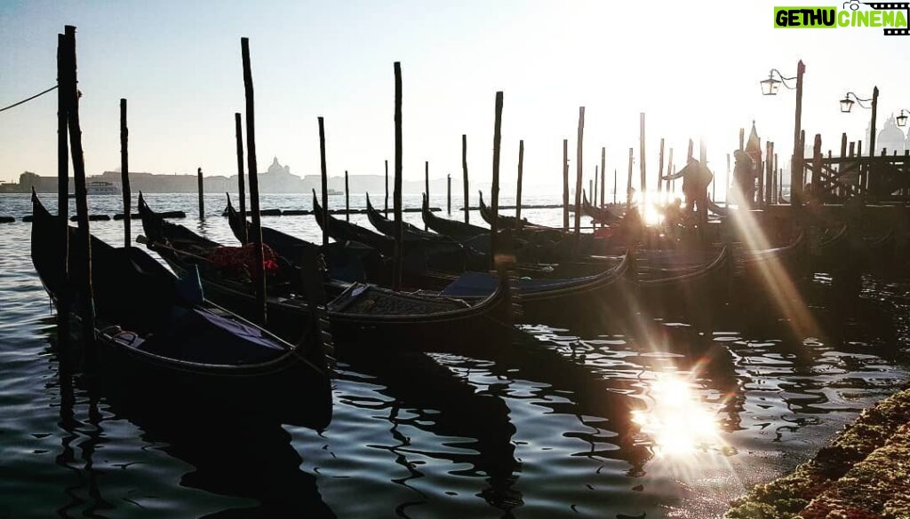 Primo Reggiani Instagram - #pictureoftheyear #venice #gondola #day Venice, Italy