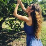 Q'orianka Kilcher Instagram - Flowers 🌺🙌🏼 #mexico Feels like Hawaii