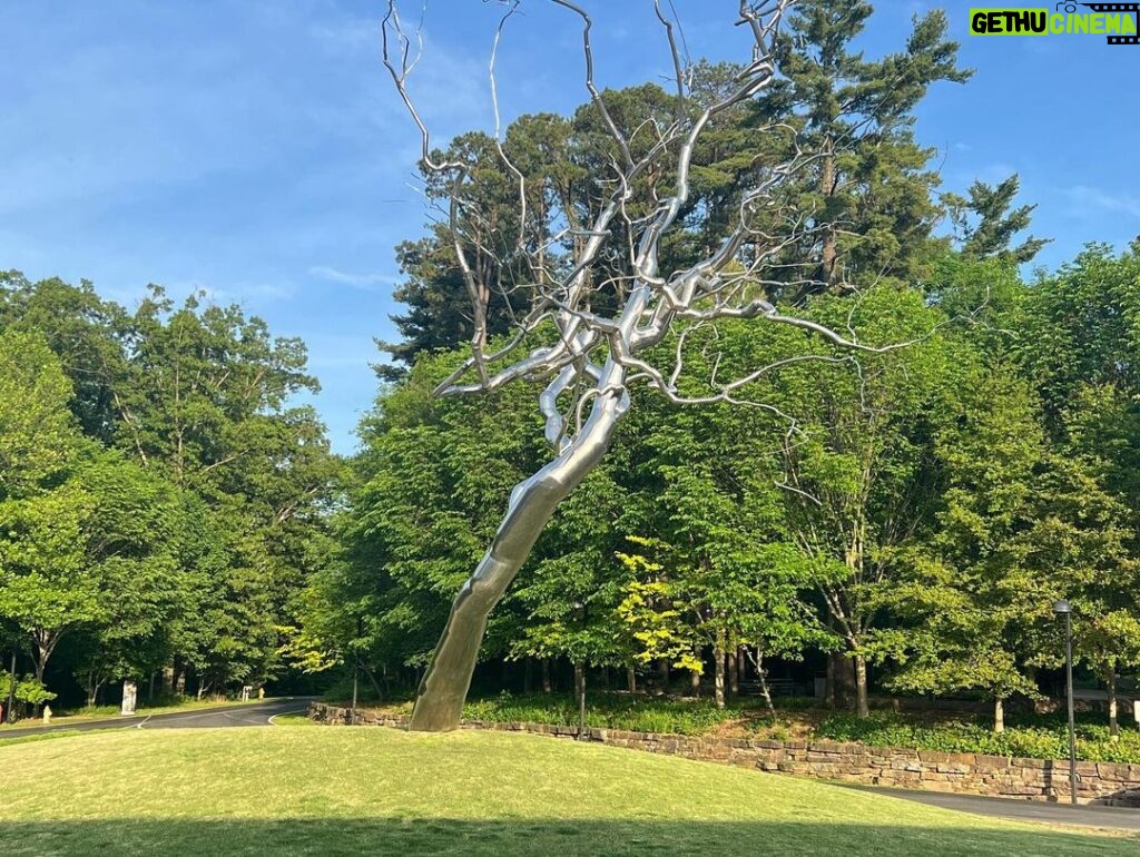 RJ Mitte Instagram - What an exceptional experience in Bentonville AR for the Philanthropy Southwest, CEO Fly In event. Thank you all for the opportunity to participate!! The last picture is at 21 C Crystal Bridges Museum of American Art