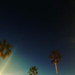 Rachael Taylor Instagram - Beach at night 🌓🌴