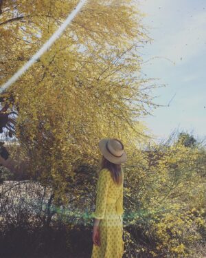 Rachael Taylor Instagram - MELLOW 🌼
📷 @mikepiscitelli