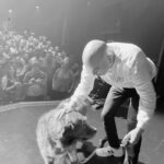 Rachid Badouri Instagram - . G A T I N E A U♥️ 3 Soirs ici, MERCI! @emilekhoury 🎤💯 @toto6257 💯 👊🏼 @koscene @zoolanglois salle Odyssée