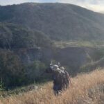 Rae Wynn-Grant Instagram - It’s been over 1 month since we announced the return of the iconic show @wildkingdomtv & my role as the newest co-host. It still feels surreal, except when i’m huffing & puffing, sweating profusely on camera and avoiding wild animal bites. As a trained biologist, I’m able to get up close & personal with many of these animals, but please don’t do this at home 1: Argentinian Tegu 2: Press Release Day 3: No spoilers but trust me it’s GOOD 4: A different type of surreal feeling 💅🏾 5: The hardest working crew 6: The man, the myth, the legend, my co-host and new bff @peterwgros 7: Episode 1 wrap 🎬 8: The original show that inspired my career