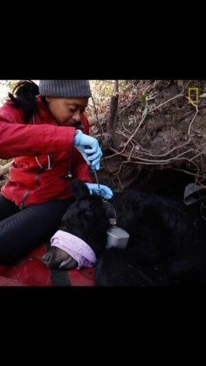 Rae Wynn-Grant Instagram - On camera or off, it’s the wildlife for me. @natgeo #WomenOfImpact