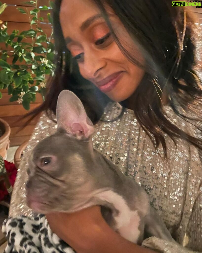 Rae Wynn-Grant Instagram - Went to the @natgeopr holiday party. There were people, but more importantly there were puppies 🐶 Special guests were some of the world’s most famous veterinarians with shows on @natgeowild including @drhodges_critterfixervet @drferguson_critterfixervet @docsbenanderin (*all attendees were required to be fully vaccinated & the event was outdoors & COLD 🥶) Terra