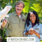Rae Wynn-Grant Instagram - Sunset thoughts 1 month into @wildkingdomtv being here for the world to see 🎊🥳. Thanks to so many of you for the support, love, and publicity! It’s been a dream come true to talk about science and nature every weekend on @nbc & @peacock 🌲
