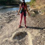 Rae Wynn-Grant Instagram - This week’s highlights: dinosaur footprints, canned smoked fish, African wildlife, bear news Dinasour Valley