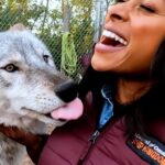 Rae Wynn-Grant Instagram - These wolves don’t look so big and bad. This week we threw Dr. Rae to the wolves. Though it looks like she’s enjoying it, and we are, too! Check out this adorable behind the scenes content we captured at the Wildlife Science Center in Stacy, Minnesota. Join the pack this weekend for a new episode of Mutual of Omaha’s Wild Kingdom Protecting the Wild. Check your @NBC local listings. #wolves #wolf #wolfpack #wildkingdomtv