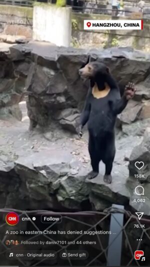 Rae Wynn-Grant Instagram - Human in costume or bear?