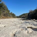 Rae Wynn-Grant Instagram - This week’s highlights: dinosaur footprints, canned smoked fish, African wildlife, bear news Dinasour Valley